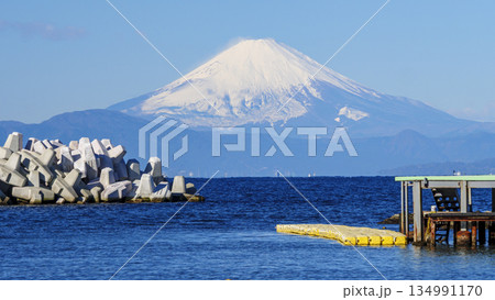 横須賀市の荒崎公園の冬 横須賀市の荒崎公園の冬 134991170