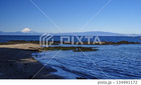 横須賀市の荒崎公園の冬 横須賀市の荒崎公園の冬 134991172