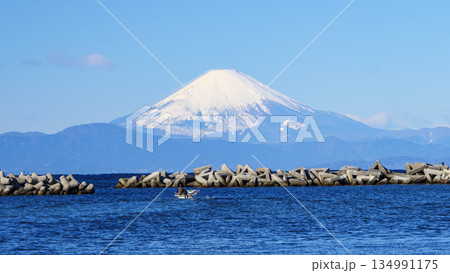 横須賀市の荒崎公園の冬 134991175