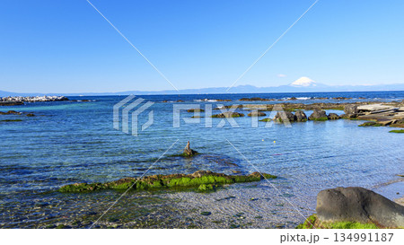 横須賀市長井漁港から見た富士山 134991187