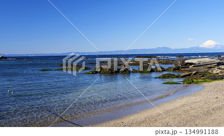 横須賀市長井漁港から見た富士山 横須賀市長井漁港から見た富士山 134991188