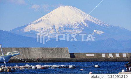 横須賀市長井漁港から見た富士山 134991219