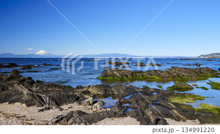 横須賀市長井漁港から見た富士山 134991220