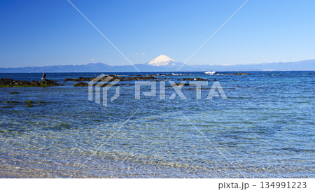 横須賀市長井漁港から見た富士山 134991223
