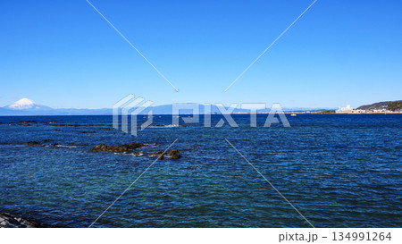 横須賀市長井漁港から見た富士山 134991264