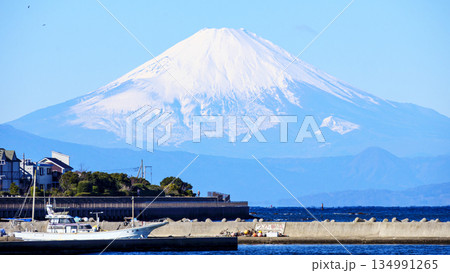 横須賀市長井漁港から見た富士山 134991265