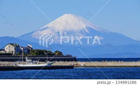 横須賀市長井漁港から見た富士山 134991266