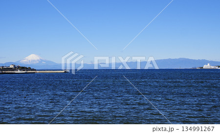 横須賀市長井漁港から見た富士山 134991267