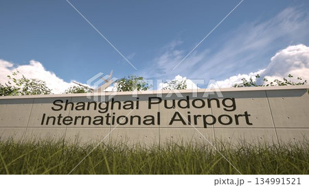Arrivals at Shanghai Pudong International Airport with airplane landing near terminal, Shanghai, China 3D rendering 134991521