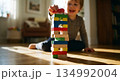 Playing With Building Blocks 134992004