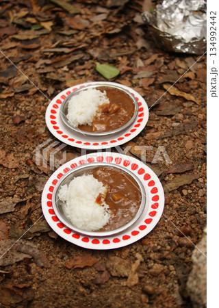 落ち葉の上に並べられたキャンプ用のカレーライスプレート 落ち葉の上に並べられたキャンプ用のカレーライスプレート 134992442