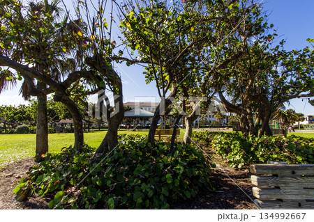 Humiston Beach Park, Vero Beach, Florida 134992667