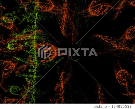 Imaginatory fractal abstract background Image Imaginatory fractal abstract background Image 134993558