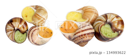 escargot snail filled with different fillings isolated on white background. Top view. Flat lay 134993622