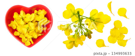 Rapeseed flowers in ceramic bowl isolated on white background, Top view. Flat lay 134993633