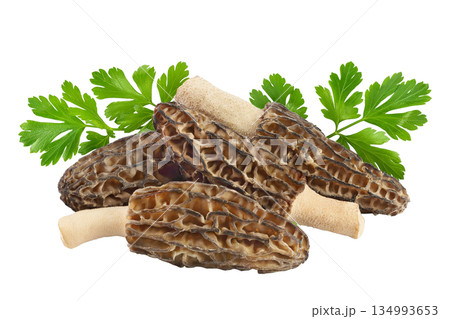 raw morel mushroom isolated on white background with full depth of field 134993653