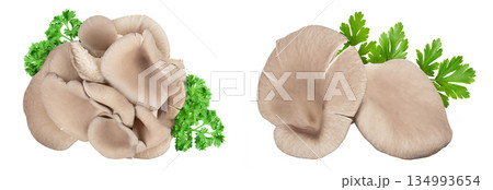 Oyster mushrooms isolated on white background with full depth of field. Top view. Flat lay Oyster mushrooms isolated on white background with full depth of field. Top view. Flat lay 134993654