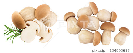 Fresh porcini cep mushroom isolated on white background. Top view. Flat lay 134993655