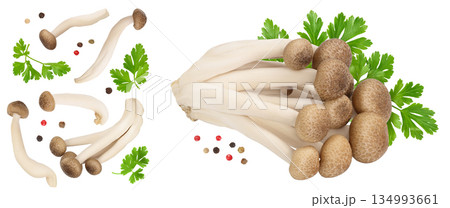 Brown beech mushrooms or Shimeji mushroom isolated on white background . Top view with copy space for your text, flat lay 134993661