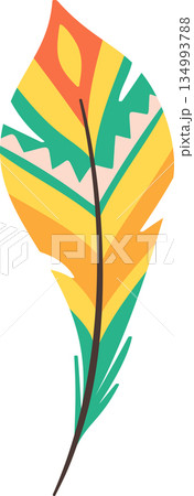 Tribal feather with vibrant color Tribal feather with vibrant color 134993788