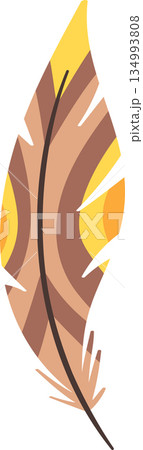 Feather element aesthetic tribal ornament 134993808