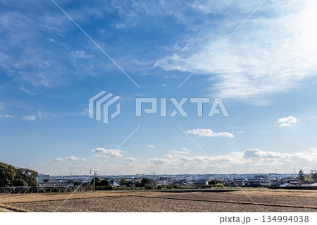 静岡県湖西市を手前に浜名湖と浜松市を望む俯瞰風景 134994038