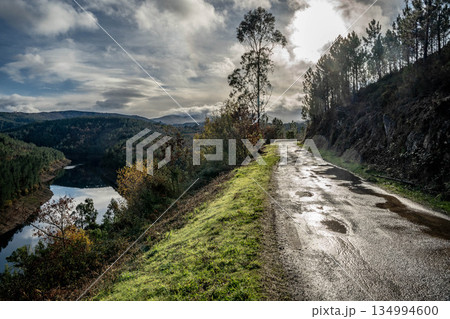 Road by the River 134994600
