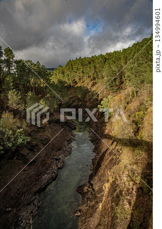 River in canyon with forest 134994601