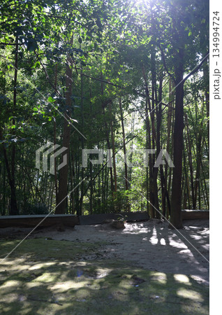 神社内の雰囲気　潮嶽神社 134994724