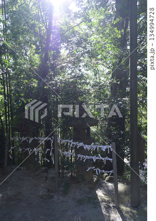 神社内の雰囲気 潮嶽神社 神社内の雰囲気 潮嶽神社 134994728