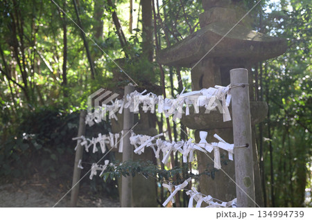 神社内の雰囲気　潮嶽神社 134994739