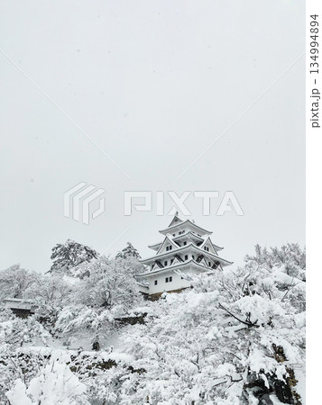 雪の郡上八幡城 134994894