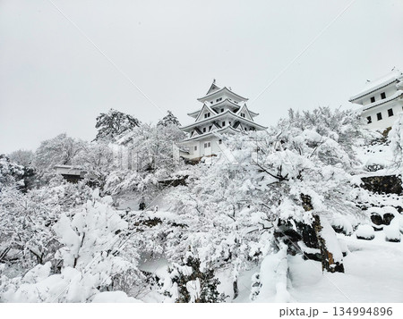 雪の郡上八幡城 雪の郡上八幡城 134994896