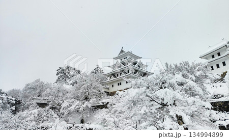 雪の郡上八幡城 雪の郡上八幡城 134994899