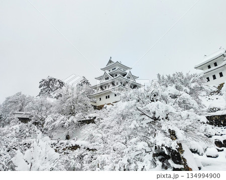 雪の郡上八幡城 雪の郡上八幡城 134994900
