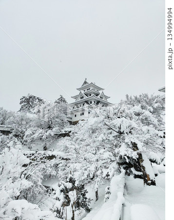 雪の郡上八幡城 雪の郡上八幡城 134994994