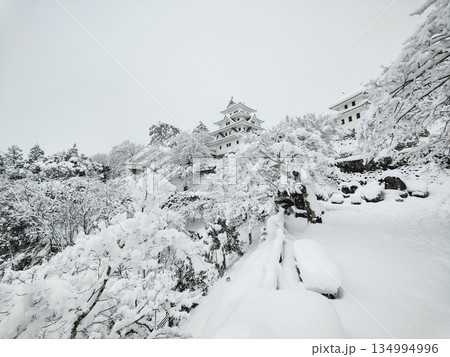 雪の郡上八幡城 雪の郡上八幡城 134994996