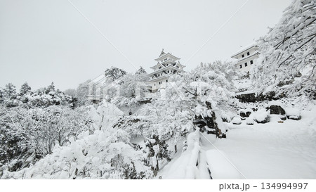 雪の郡上八幡城 雪の郡上八幡城 134994997