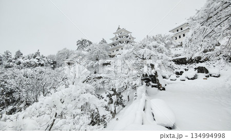 雪の郡上八幡城 雪の郡上八幡城 134994998