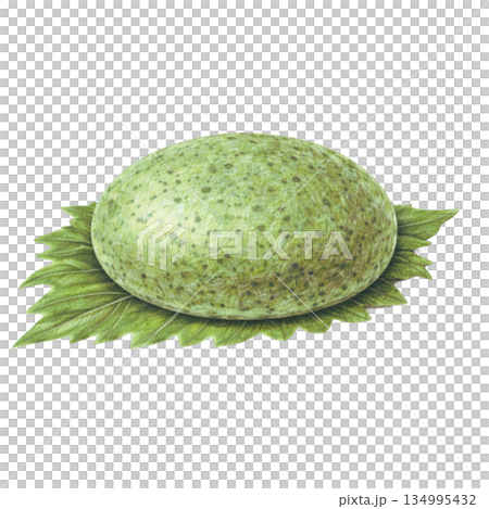Kusamochi colored pencil illustration material 134995432