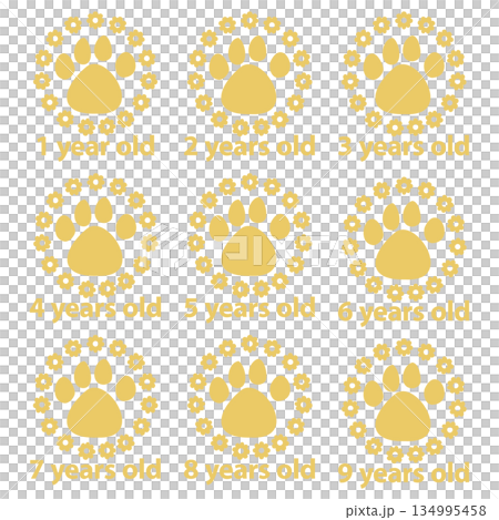 可愛寵物年齡花爪印金色套裝 1-9 134995458