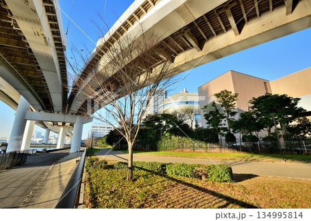 東京お台場 首都高速湾岸線 有明ジャンクション 東京お台場 首都高速湾岸線 有明ジャンクション 134995814