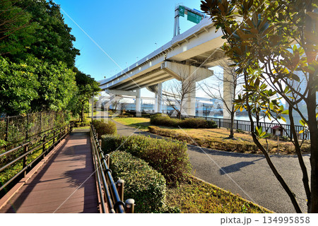 東京お台場 首都高速湾岸線 有明ジャンクション 東京お台場 首都高速湾岸線 有明ジャンクション 134995858