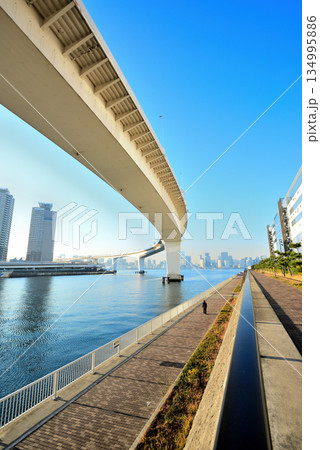 東京お台場　首都高速湾岸線　有明ジャンクション 134995886
