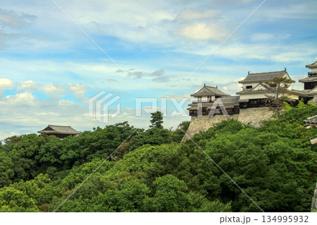 松山城 134995932
