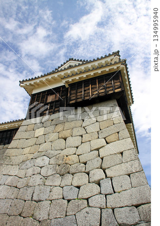松山城 松山城 134995940