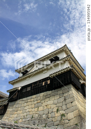 松山城 松山城 134995942