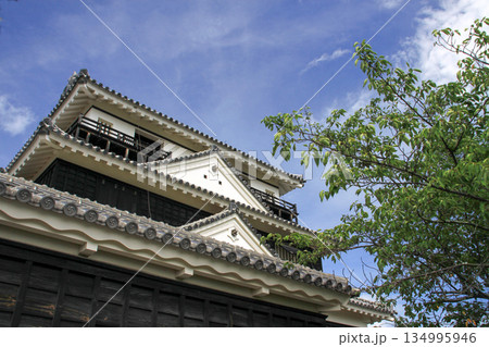 松山城 134995946