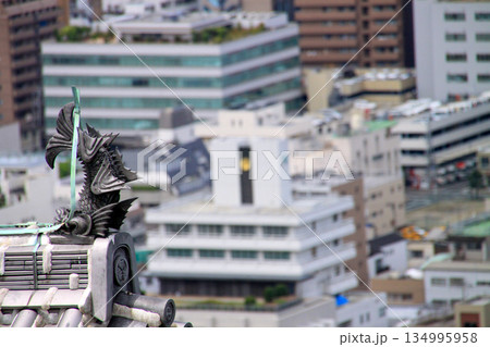 松山城 松山城 134995958