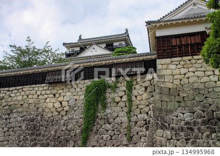 松山城 松山城 134995968
